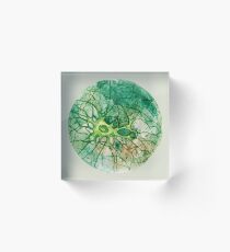 Neuron - Watercoulor - New Colour!! Acrylic Block