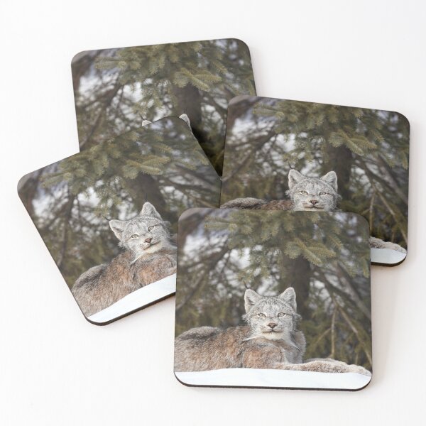 Item preview, Canada Lynx designed and sold by mlorenz.