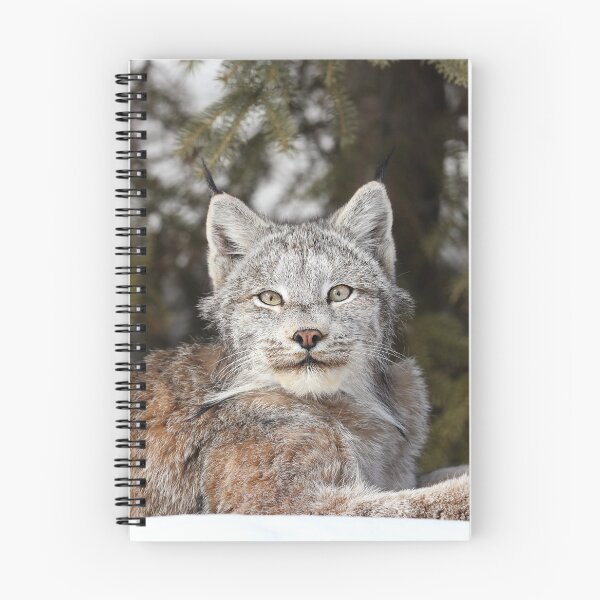 Item preview, Canada Lynx designed and sold by mlorenz.