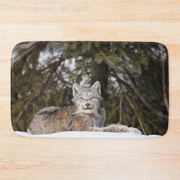 Item preview, Canada Lynx designed and sold by mlorenz.