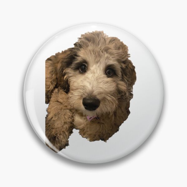 Item preview, Aussie Doodle Puppy designed and sold by Chad Novak.
