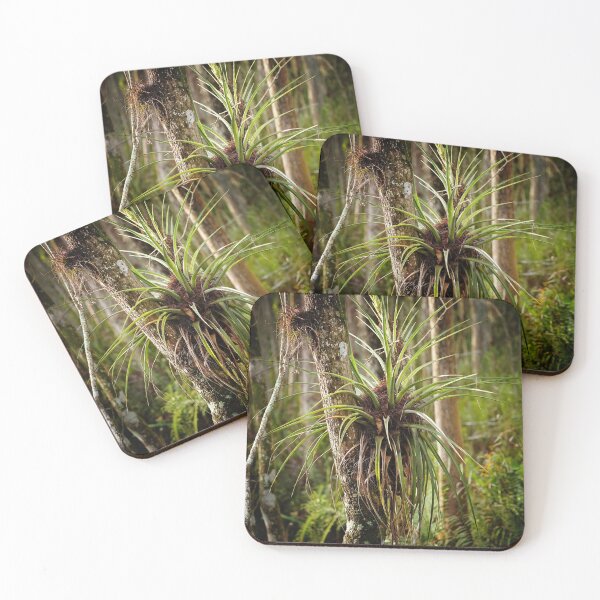 Item preview, The Bromeliad Story designed and sold by Dead-Moroz.