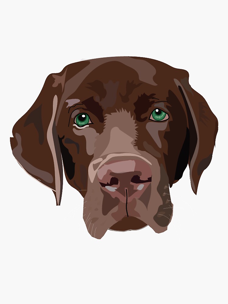 "chocolate lab" Sticker for Sale by taraberg | Redbubble