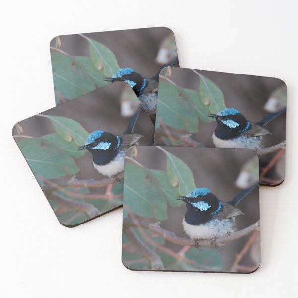 Item preview, Singing Wren designed and sold by notjustamwac.