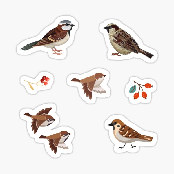 Artikel-Vorschau von Spatz Vogel, designt und verkauft von silviaol.