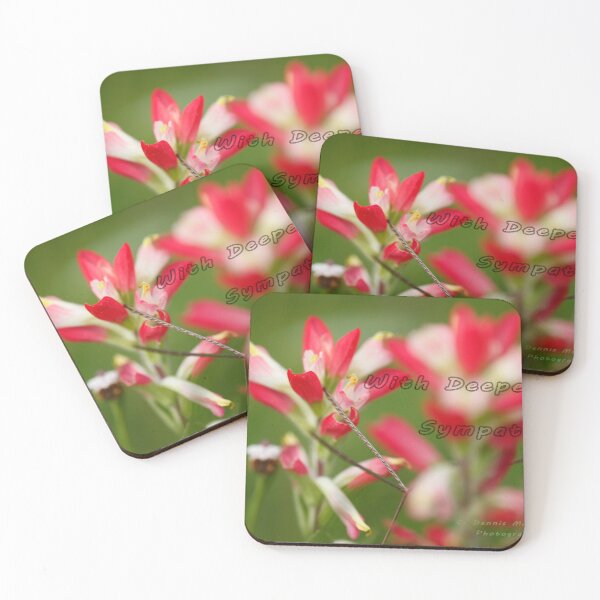 Item preview, Sympathy designed and sold by Texas Enfocus Photography.