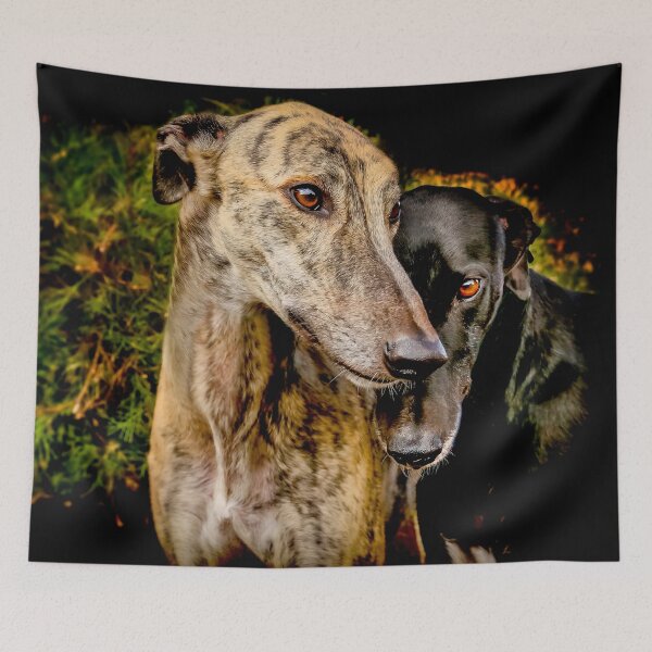 Item preview, Taz and Banjo designed and sold by pipsqueaksphoto.