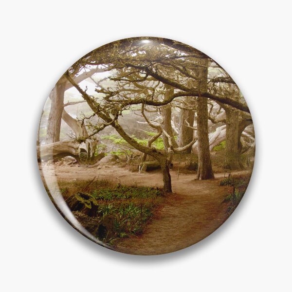 Item preview, Old Cypress Trail, Point Lobos State Park designed and sold by Barbara  Brown.