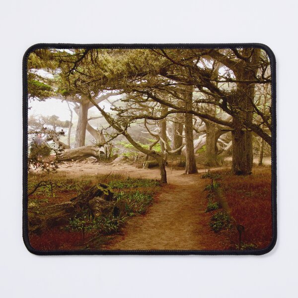 Item preview, Old Cypress Trail, Point Lobos State Park designed and sold by Barbara Brown.