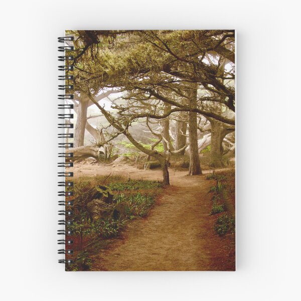 Item preview, Old Cypress Trail, Point Lobos State Park designed and sold by Barbara  Brown.