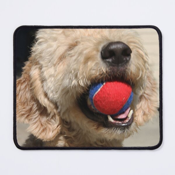 Item preview, Buster's Ball designed and sold by Chet King.
