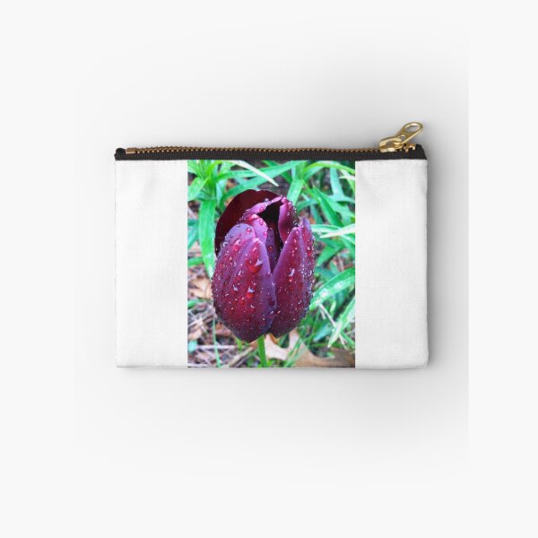 Item preview, Dewdrop Tulip designed and sold by FedericoArts.