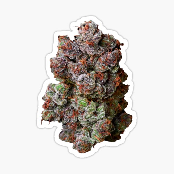 Plant Powered Cannabis Sticker — Feel-good stickers, cards, & pins