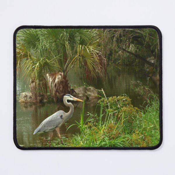 Item preview, Great blue heron coming ashore designed and sold by B. Randi Bailey.