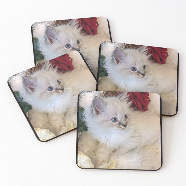 Item preview, Lynx ragdoll kitten designed and sold by Fluffycat2020.