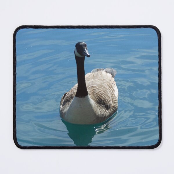 Item preview, Canada Goose designed and sold by SunriseRose.