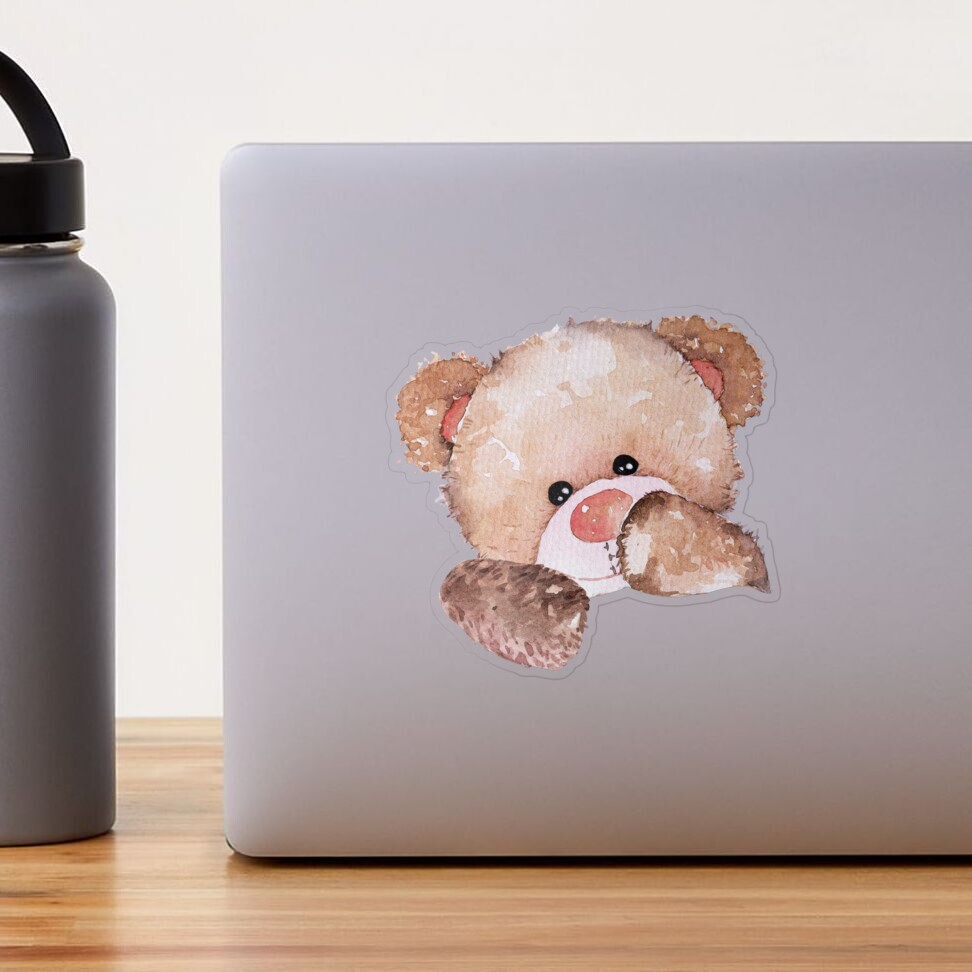 VACCUM PACKED TEDDY BEAR – MyChoiceShop