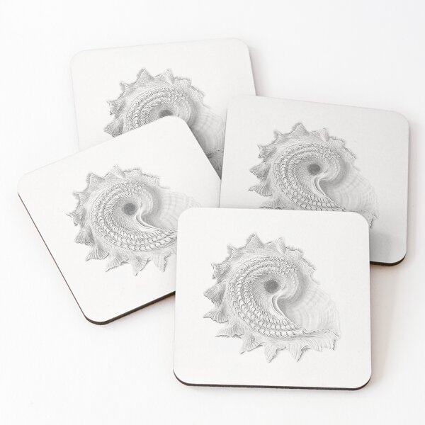 Item preview, Sea Shell, SeaShell, Vintage Sea Shell, Sea Shell Art, Black and White, Nautilus, Ammonite designed and sold by maxa0109.