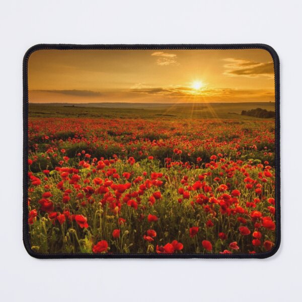 Item preview, Sunrises designed and sold by Alair-In.