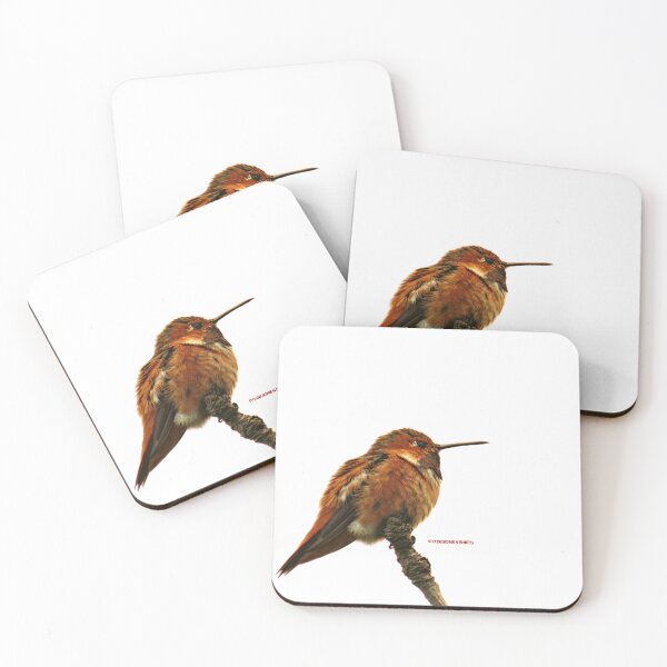 Item preview, Charge Ahead, Hummingbird designed and sold by ODesignsNShirts.