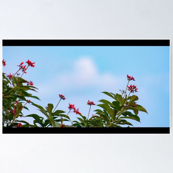 Item preview, Flowers designed and sold by Big Papa Designs.