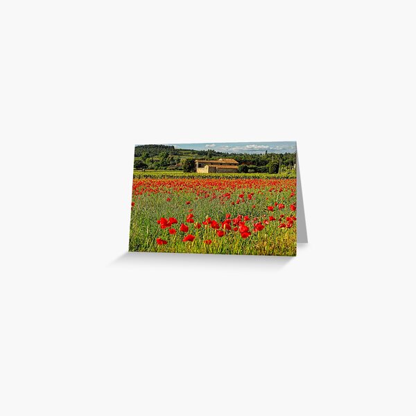 Poppies in Provence Greeting Card
