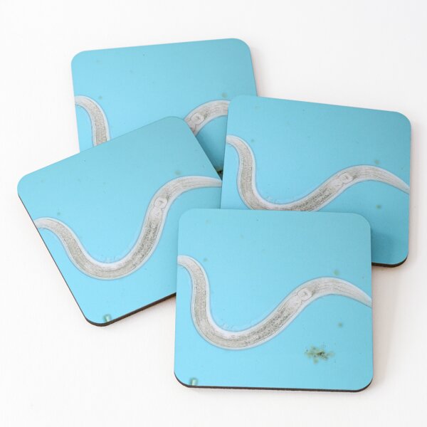 Item preview, Microscopic free-living nematode worm from garden soil designed and sold by SDym Photography.
