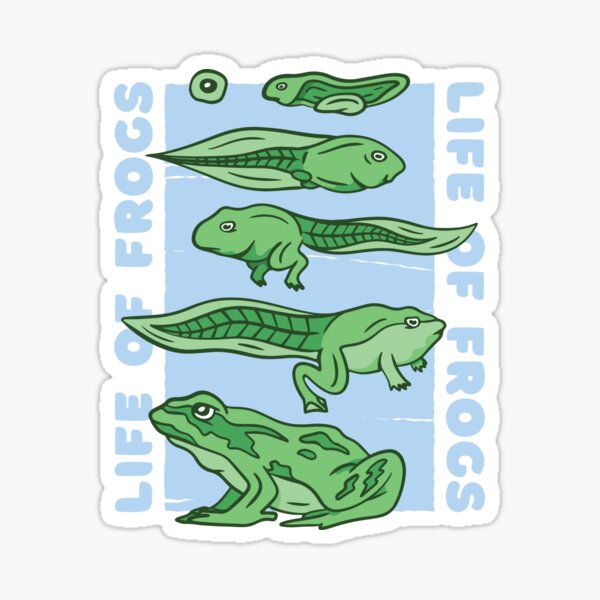 Life Of Frogs - Frog Evolution Tadpoles Sticker