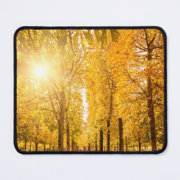 Item preview, autumn park in paris designed and sold by franckreporter.