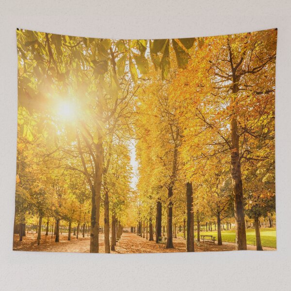 Item preview, autumn park in paris designed and sold by franckreporter.