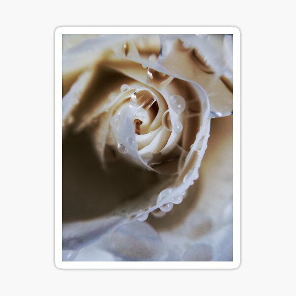 Rose Middle Sticker