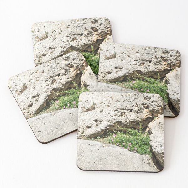 Item preview, Life on Bare Rock - Miniature Crevice Garden designed and sold by Georgia Mizuleva.