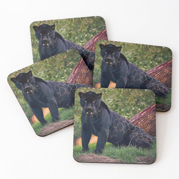 Item preview, Black Jaguar designed and sold by Maddie4Real.