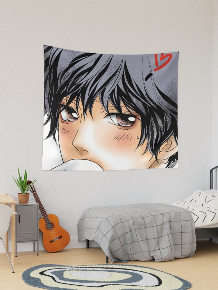 Ao Haru Ride Blue Spring Ride With Cat Poster for Sale by NormaBrown1