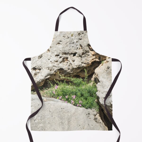 Item preview, Life on Bare Rock - Miniature Crevice Garden designed and sold by Georgia Mizuleva.