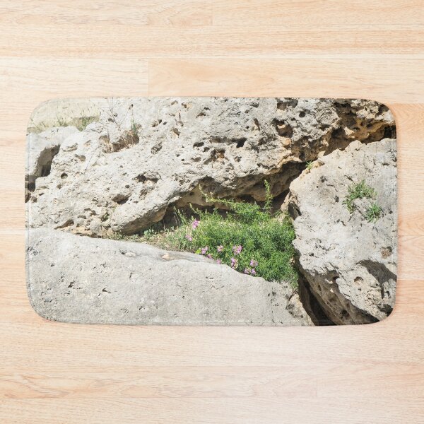Item preview, Life on Bare Rock - Miniature Crevice Garden designed and sold by Georgia Mizuleva.