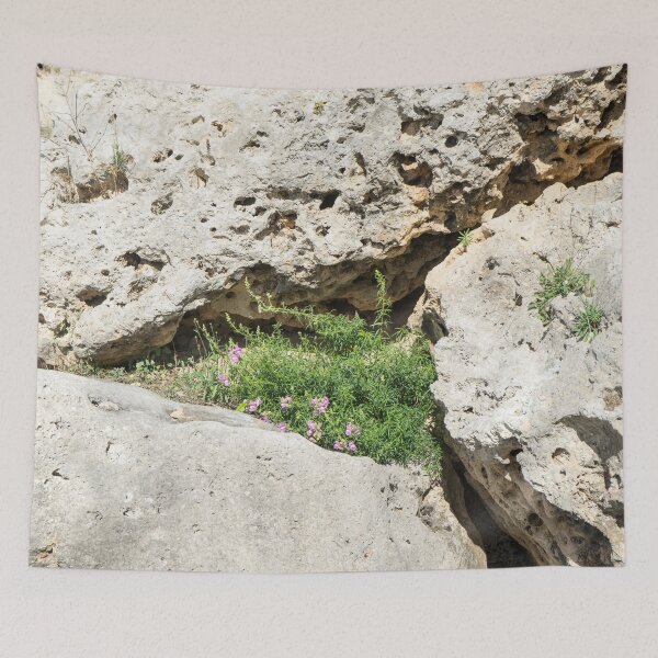 Item preview, Life on Bare Rock - Miniature Crevice Garden designed and sold by Georgia Mizuleva.