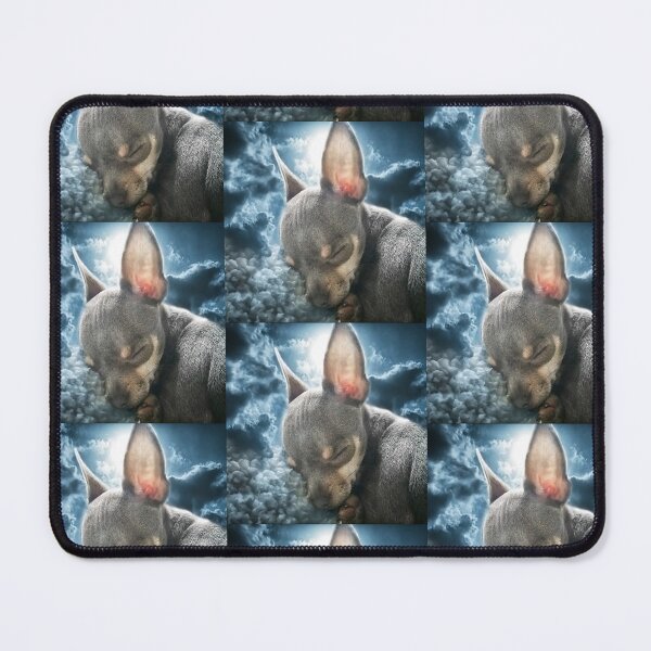 Item preview, Cute Cheeky Chihuahua Face Bedtime Dream art designed and sold by BarbaraGlebska.