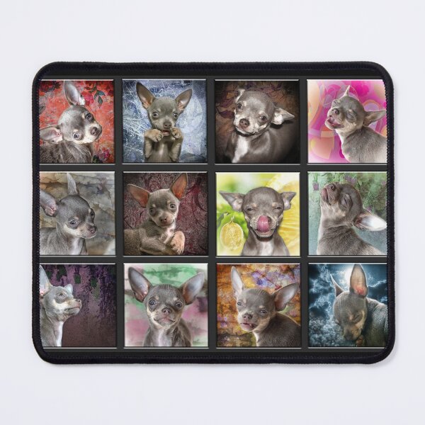 Item preview, Cheeky Chihuahua Expressions. Cute funny faces. designed and sold by BarbaraGlebska.