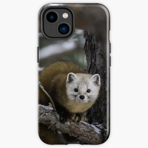 beautiful animal iPhone Tough Case