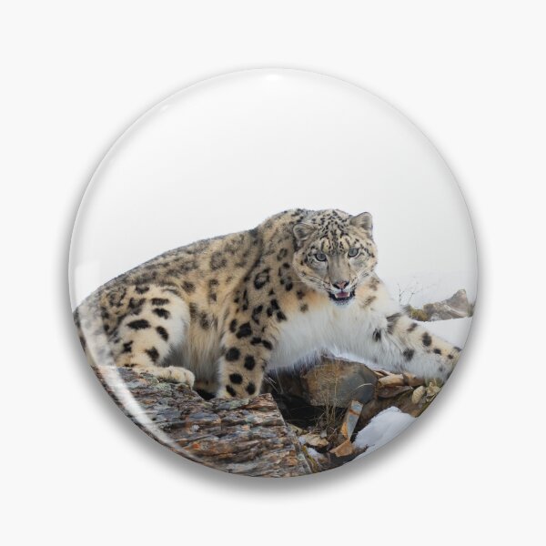 Item preview, Snow Leopard on rocky ledge designed and sold by James Cumming.