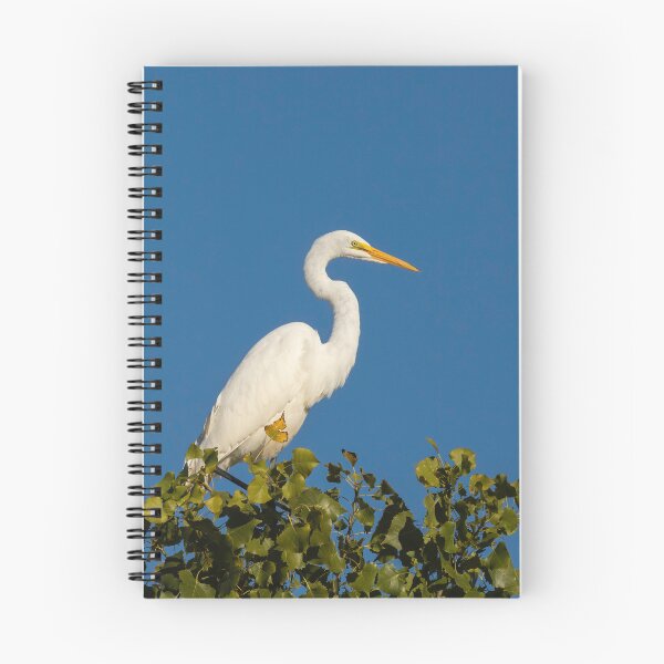 Item preview, Great Egret 2016-4 designed and sold by Thomasyoung.