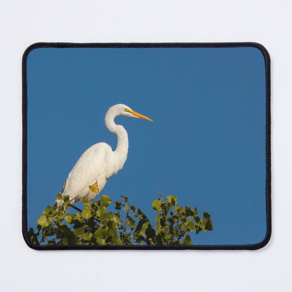 Item preview, Great Egret 2016-4 designed and sold by Thomasyoung.