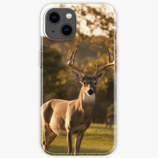 deer beautiful animal iPhone Soft Case