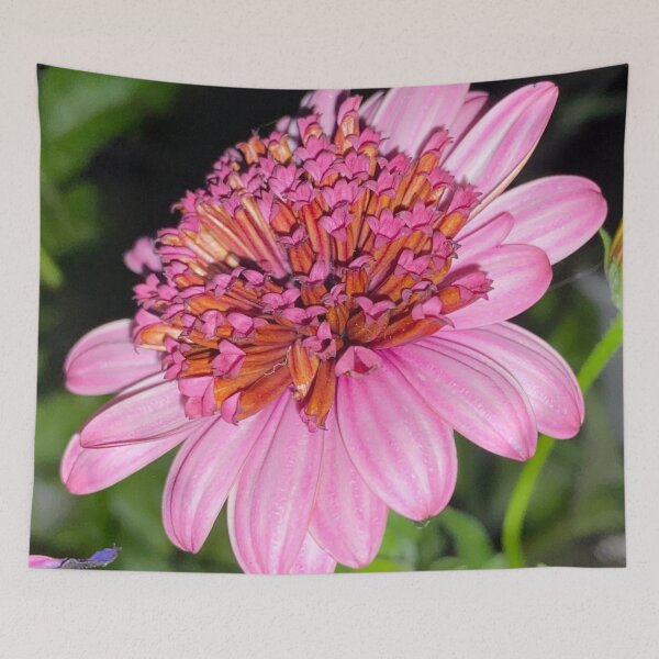 Item preview, Pretty in pink           by Lorraine-My Joy. designed and sold by Lorraine Lashley  - My Joy..