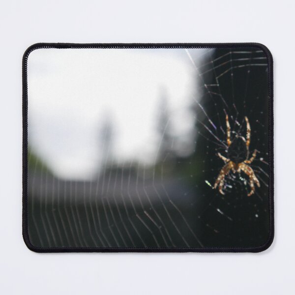 Item preview, Orb Weaver Hobo spider designed and sold by SlappinTees.