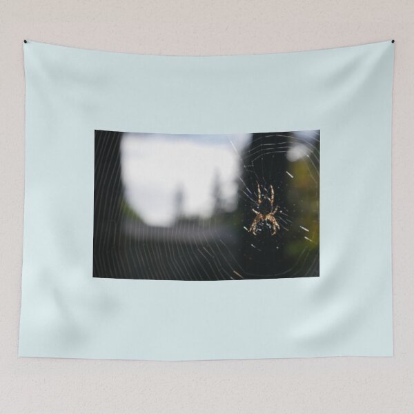 Item preview, Orb Weaver Hobo spider designed and sold by SlappinTees.