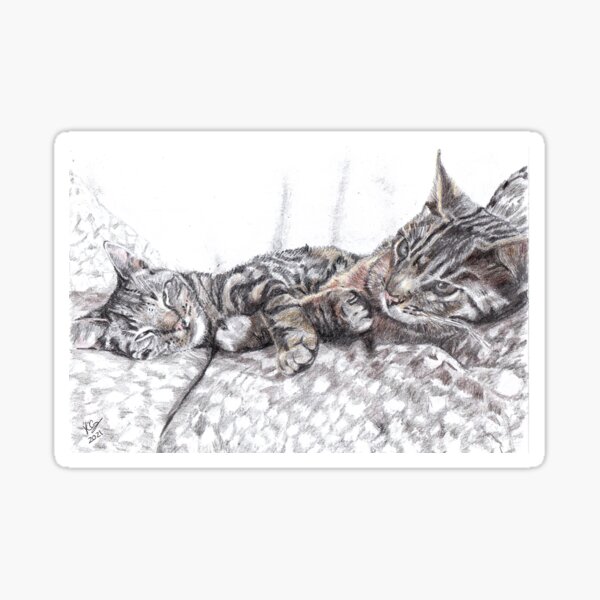 Artikelvorschau, Unsere Katzen Paddy & Polly entworfen und verkauft von Jim Griffiths.