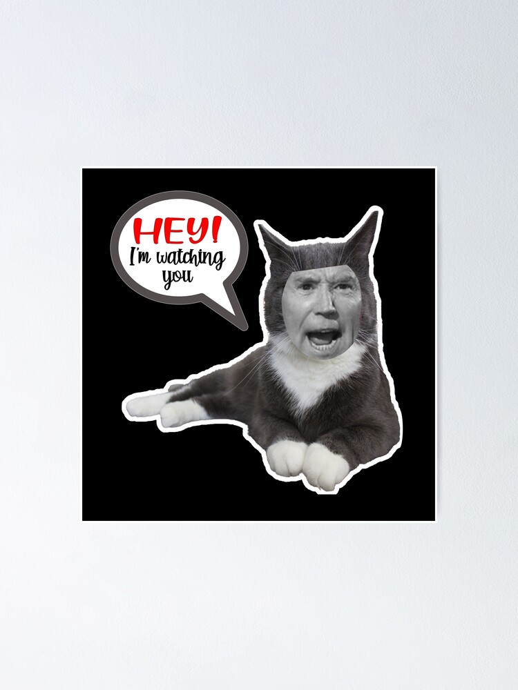 angry cat meme, angry cat, funny angry cat | Sticker