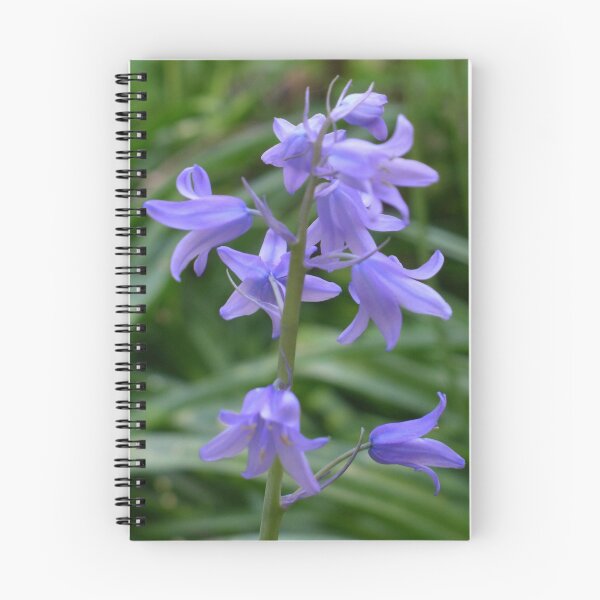 Item preview, Bluebells - the first signs of Spring designed and sold by Mark Lang.